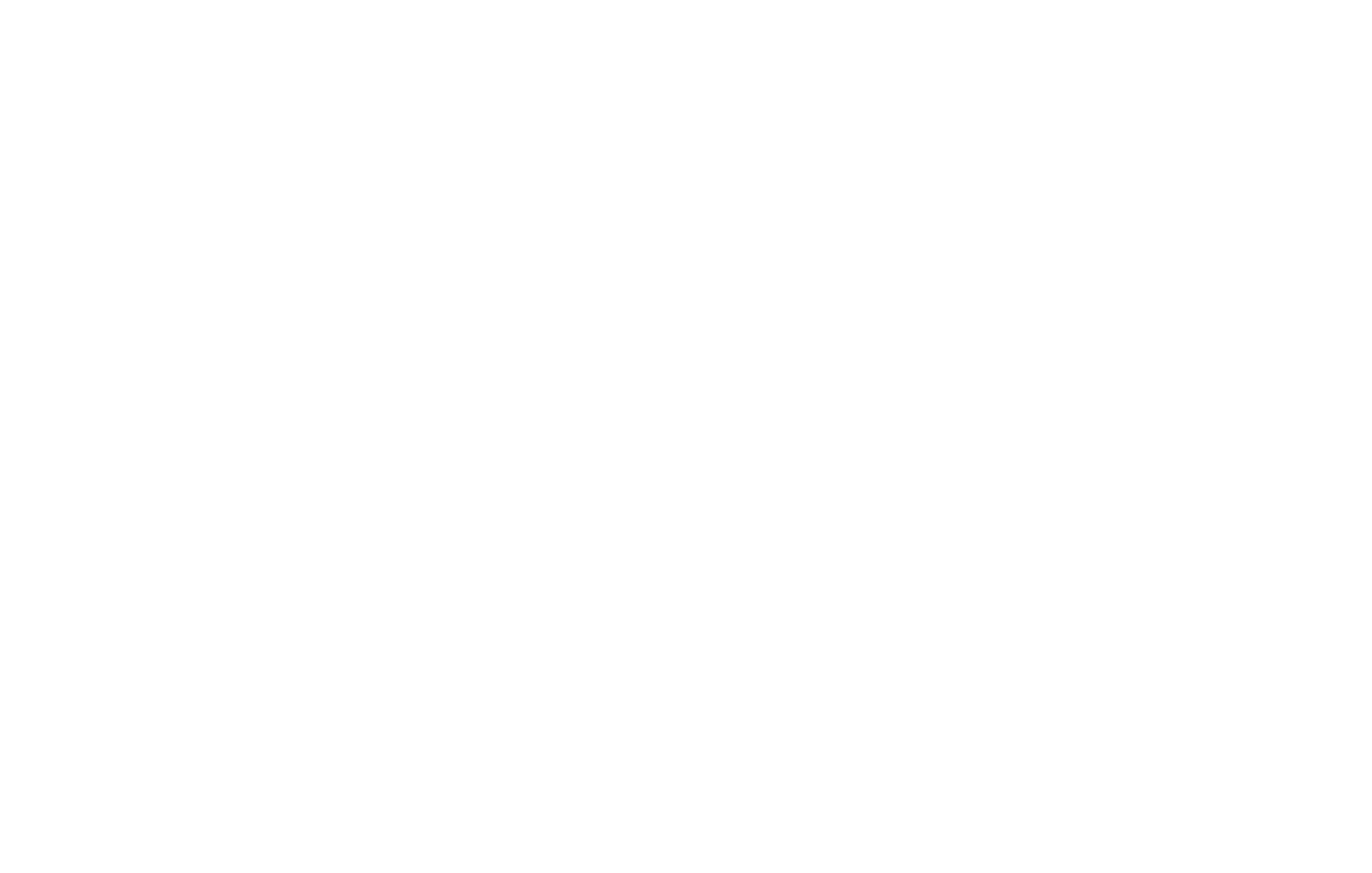 Intrepid Logo White